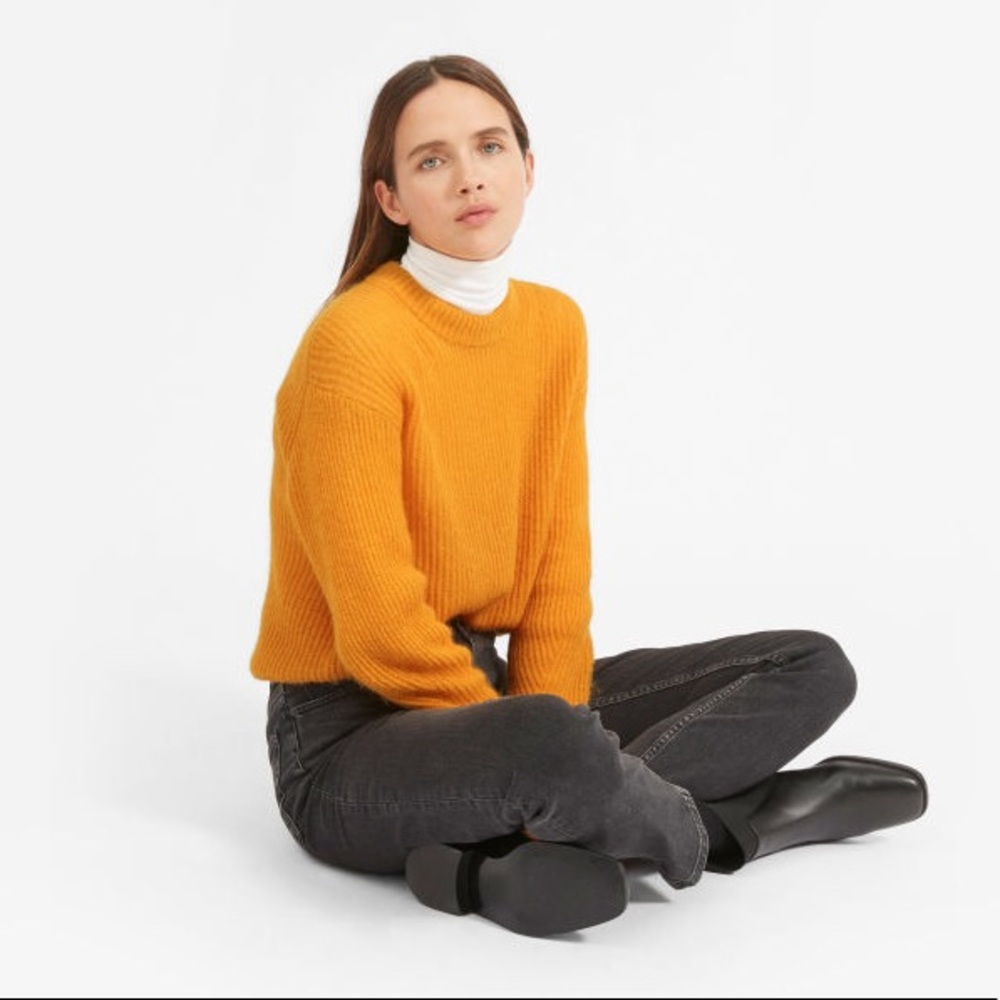 Everlane Alpaca sweater size S